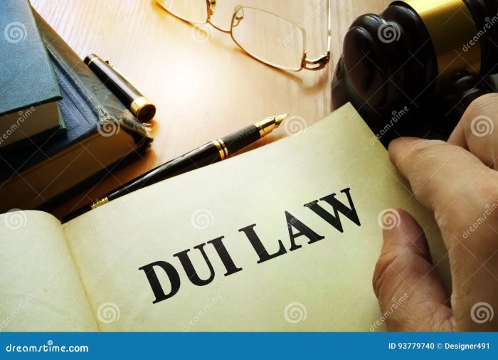 Dui abogados elaboran eres significa