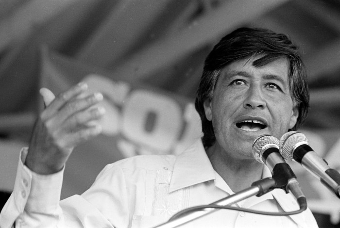 Cesar chavez movie questions and answers