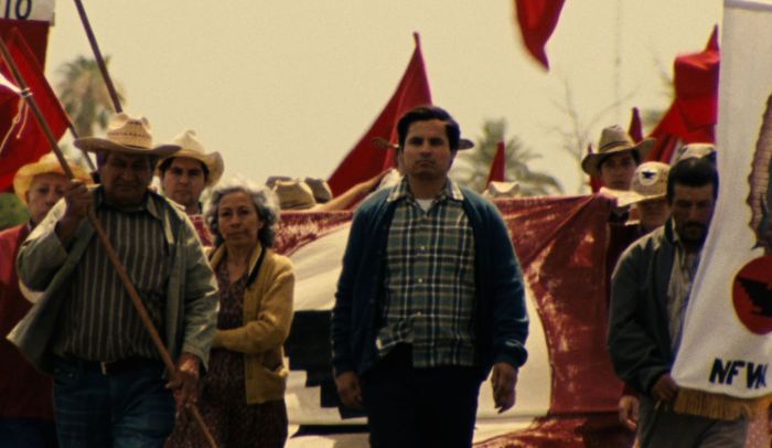 Cesar chavez movie questions and answers