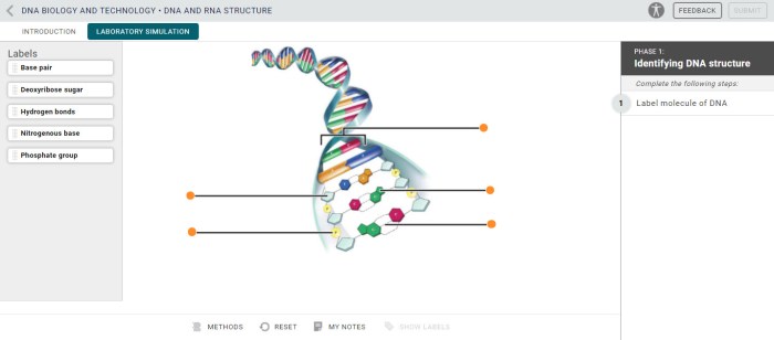 Mcgraw hill answer key biology