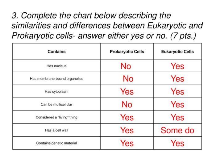 Prokaryotic and eukaryotic cells pogil answer key