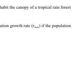 A population of 250 birds inhabit the canopy