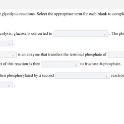 Glycolysis flowchart glucose microbiology aerobic medical choose board sugar process breakdown need