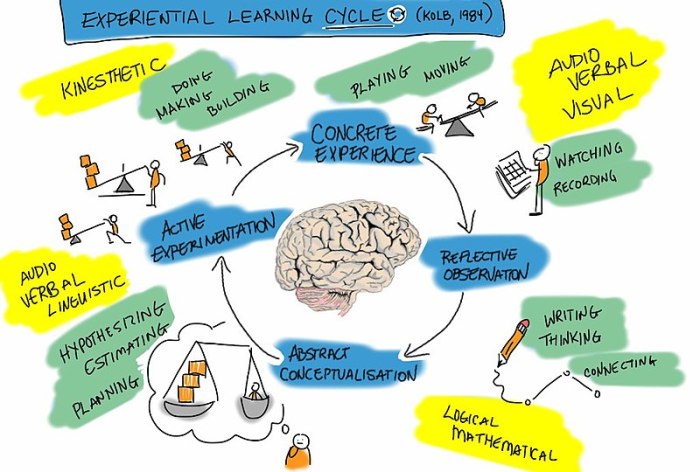 Kolb's model divides people into either reflective or active learners