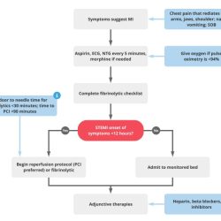 Fibrinolytic criteria eligibility