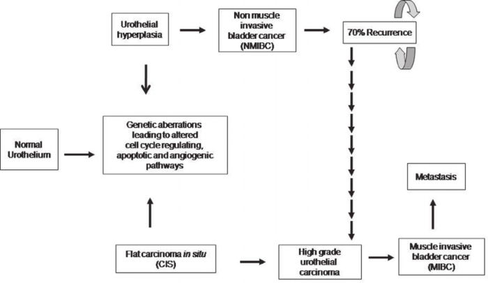 Mutational exposures colorectal comparing cancer