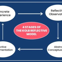 Kolb experiential experiencing acting reflecting thinking biznewske