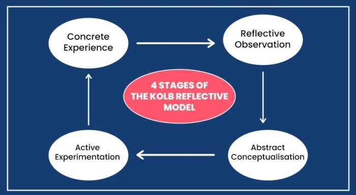 Kolb experiential experiencing acting reflecting thinking biznewske